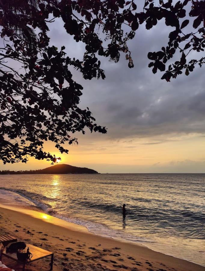 Chill Inn Lipa Noi Hostel And Beach Cafe Koh Samui Exterior photo